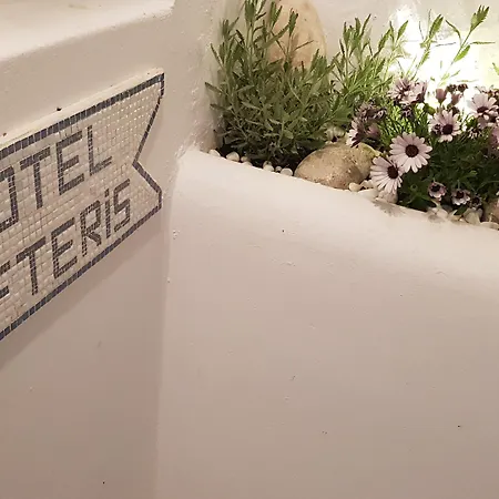 乐福特瑞斯旅馆 酒店 Mykonos Town