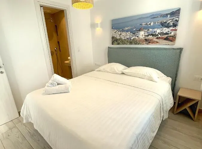 乐福特瑞斯旅馆 Mykonos Town