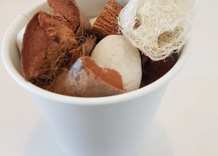 乐福特瑞斯旅馆 酒店