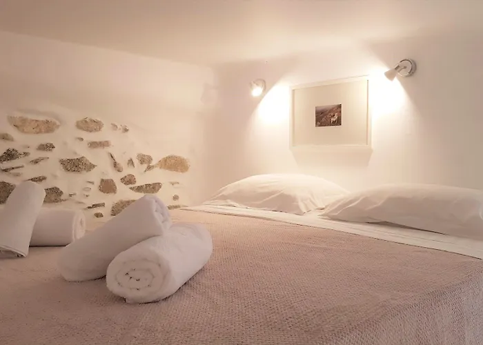 乐福特瑞斯旅馆 Mykonos Town