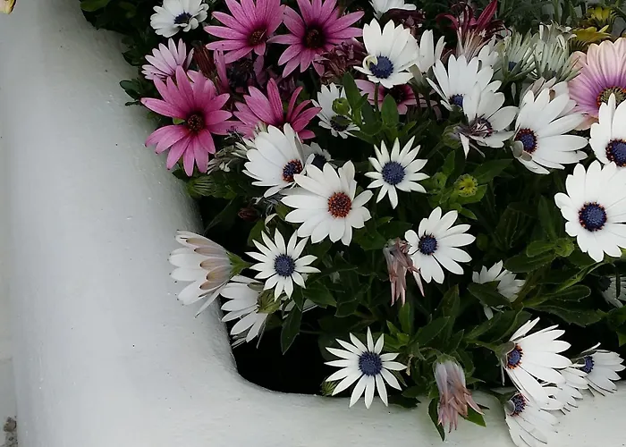 乐福特瑞斯旅馆 酒店 Mykonos Town